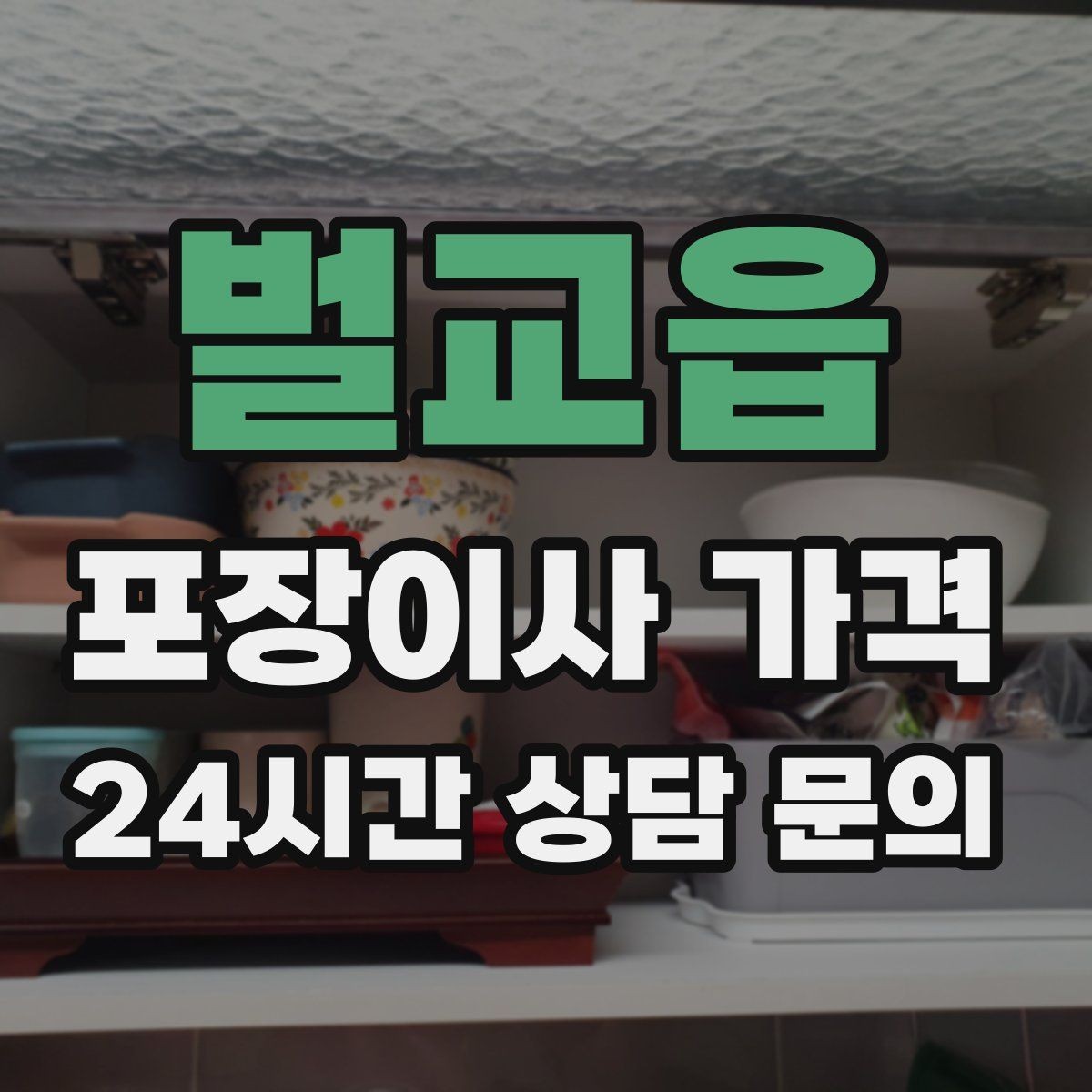 벌교읍 포장이사 가격 사진견적만으로 부족한 경우