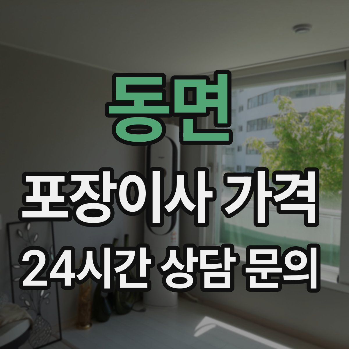 동면 포장이사 가격