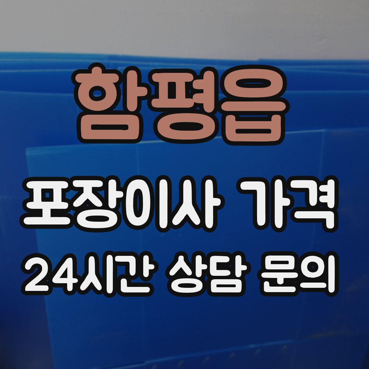 함평읍 포장이사 가격