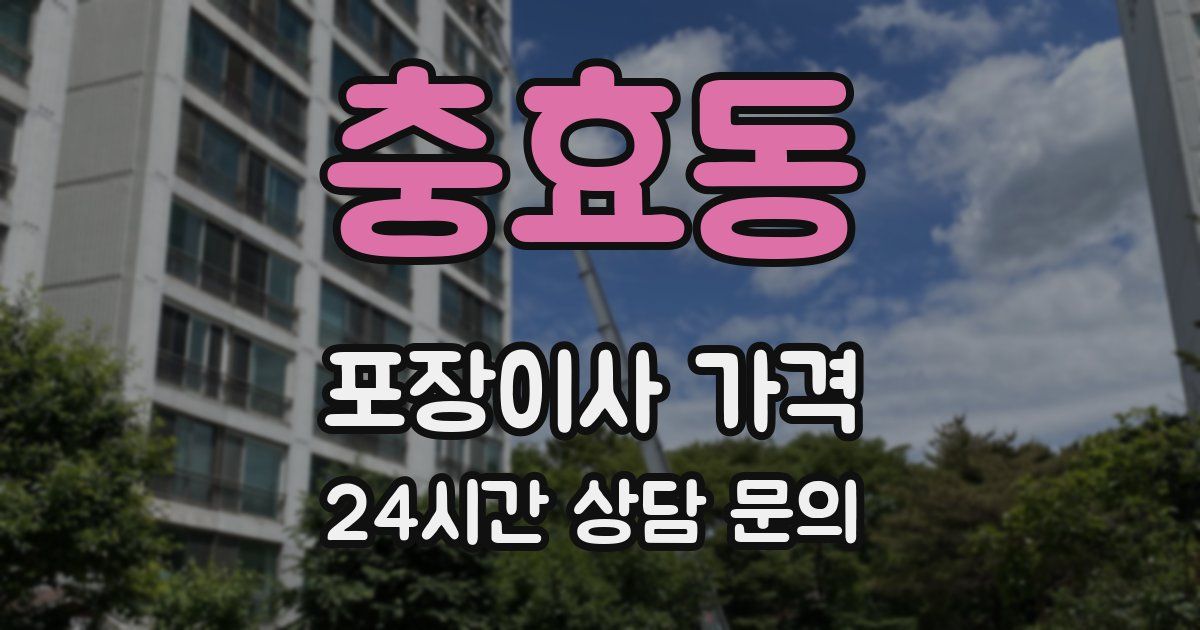 충효동 포장이사 가격