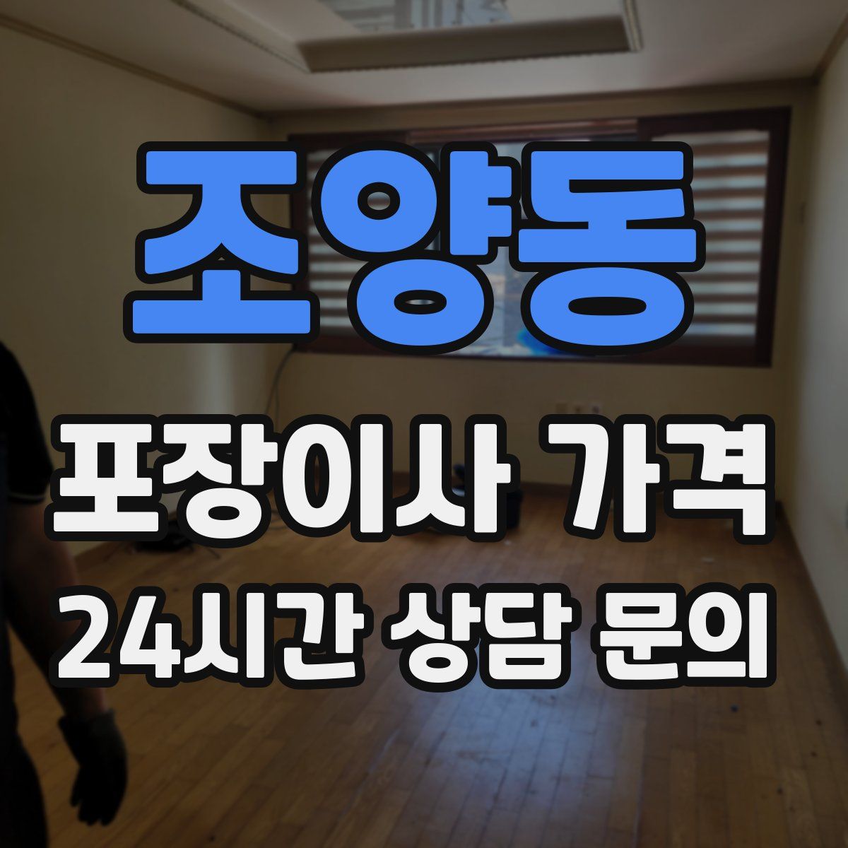 조양동 포장이사 가격