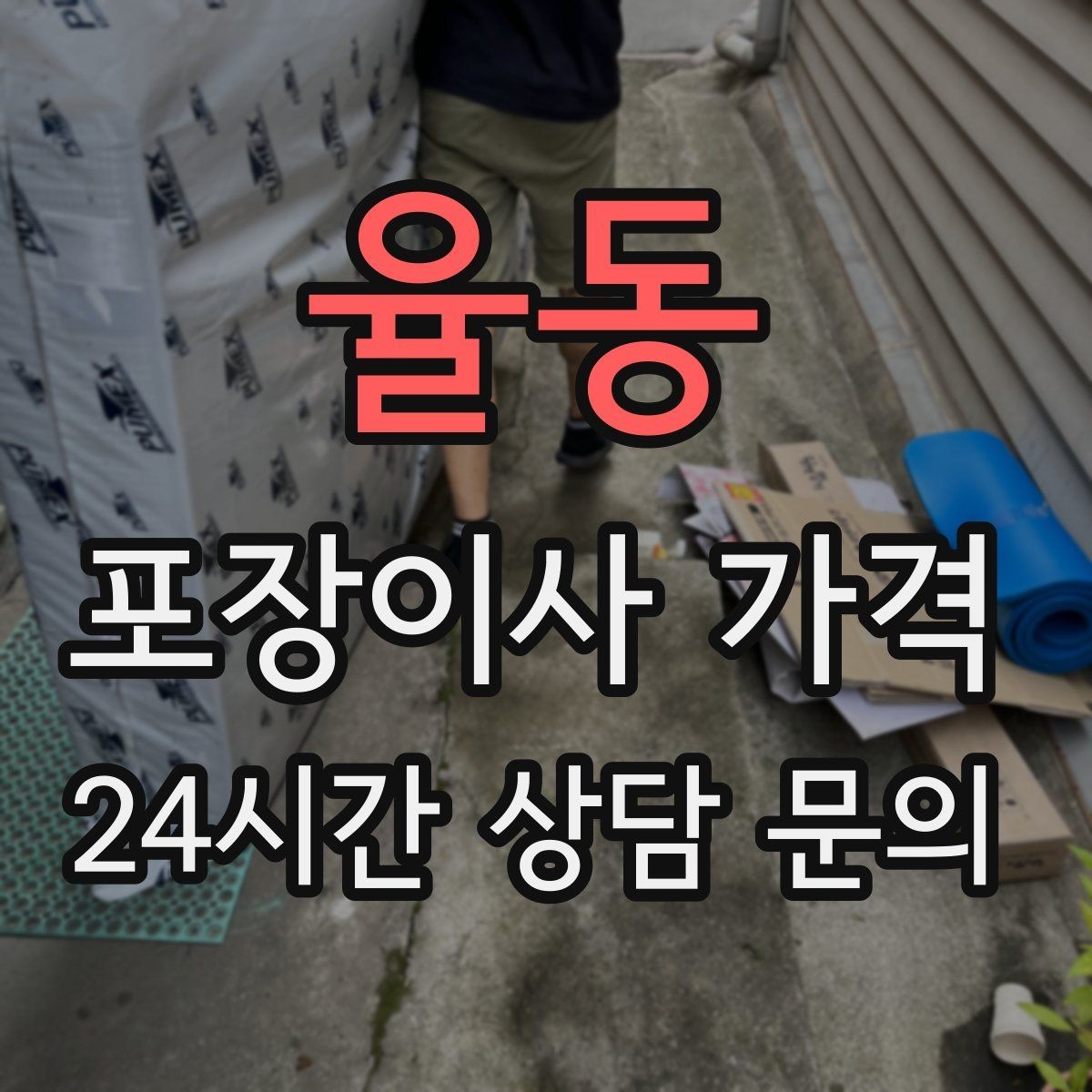 율동 포장이사 가격 전입신고·주소 변경과 이사 일정 맞추기