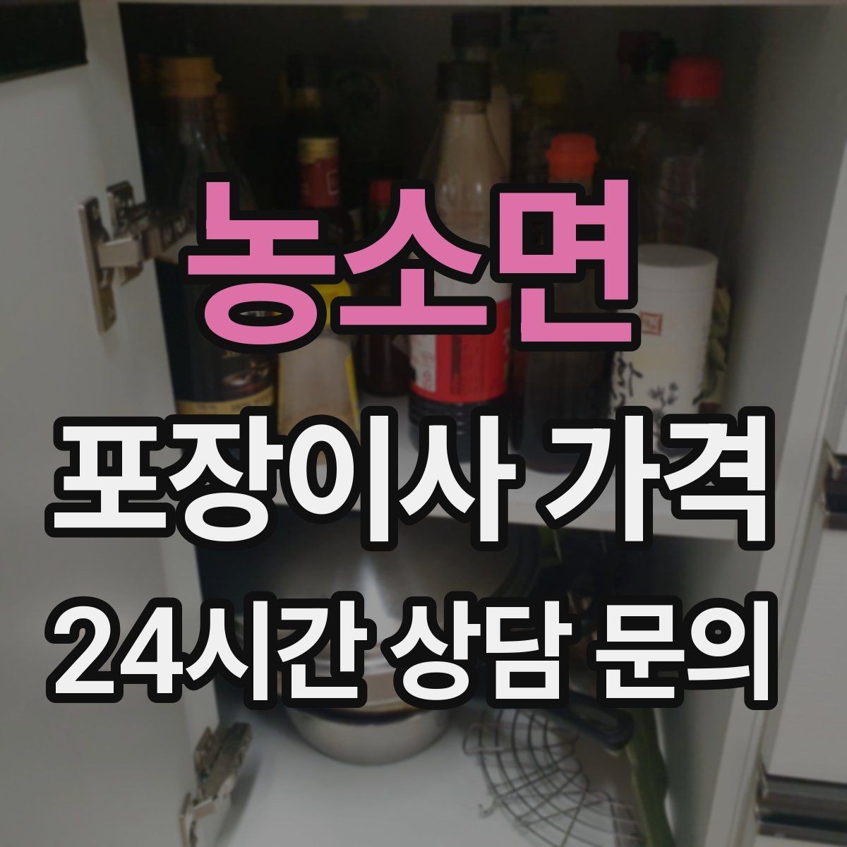 농소면 포장이사 가격 반려동물이 있으면 준비가 달라지는 이유