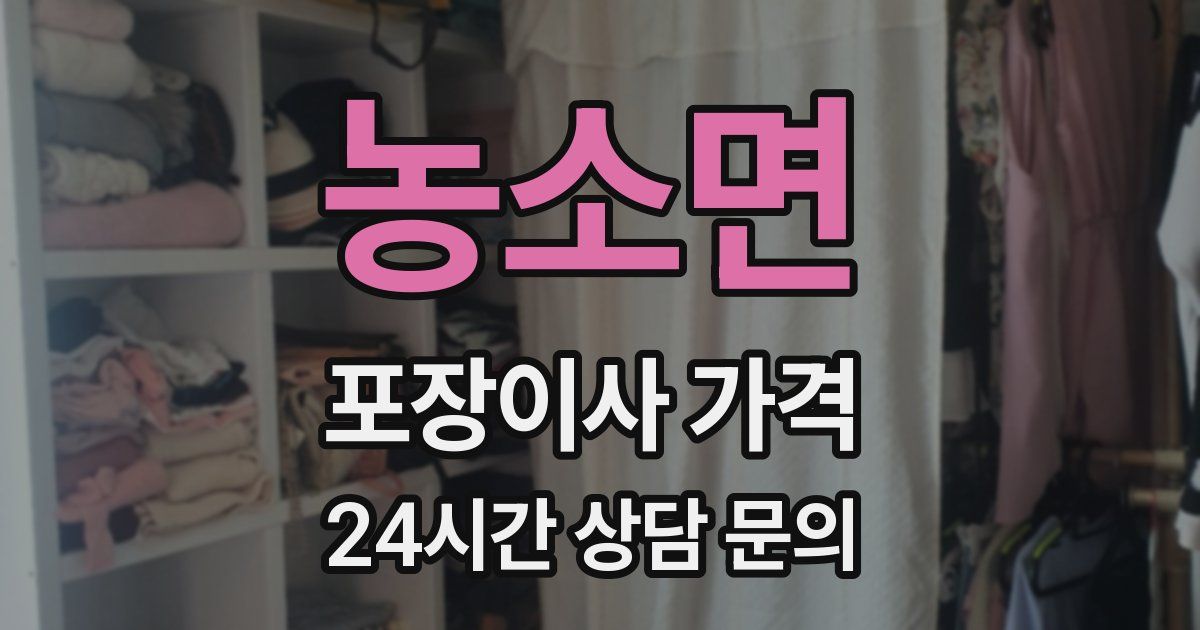 농소면 포장이사 가격