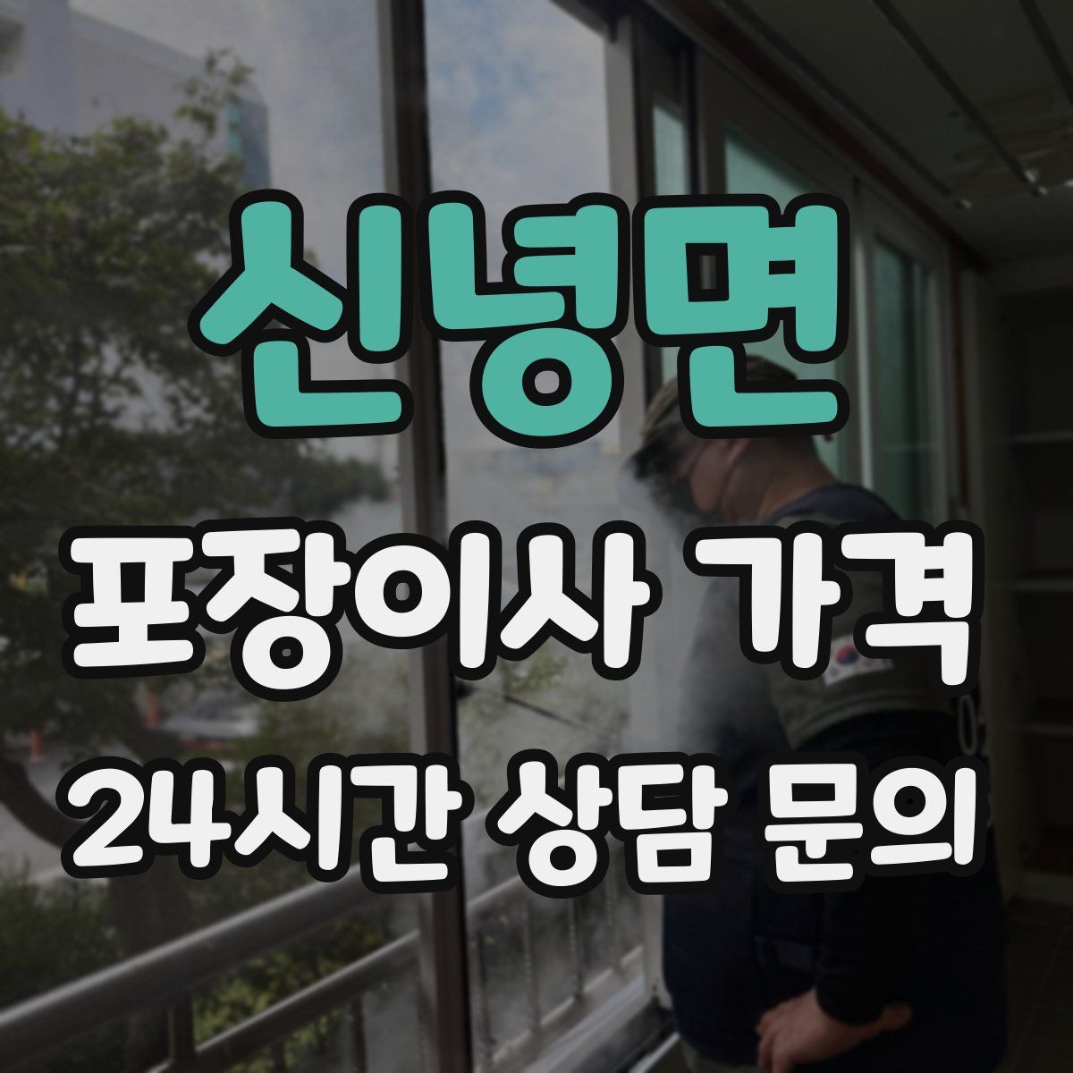 신녕면 포장이사 가격