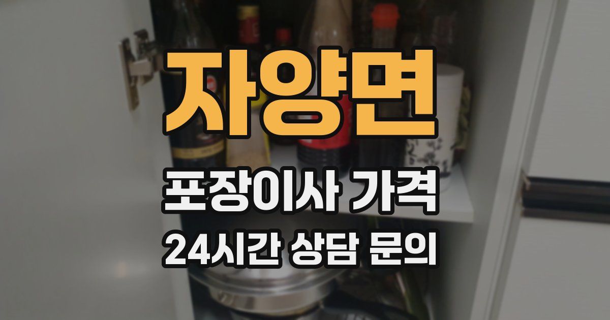 자양면 포장이사 가격