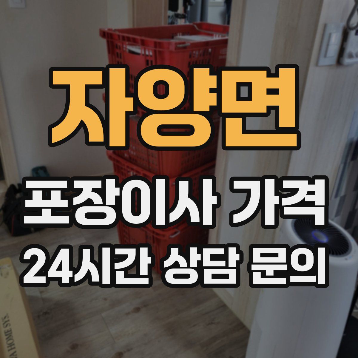 자양면 포장이사 가격
