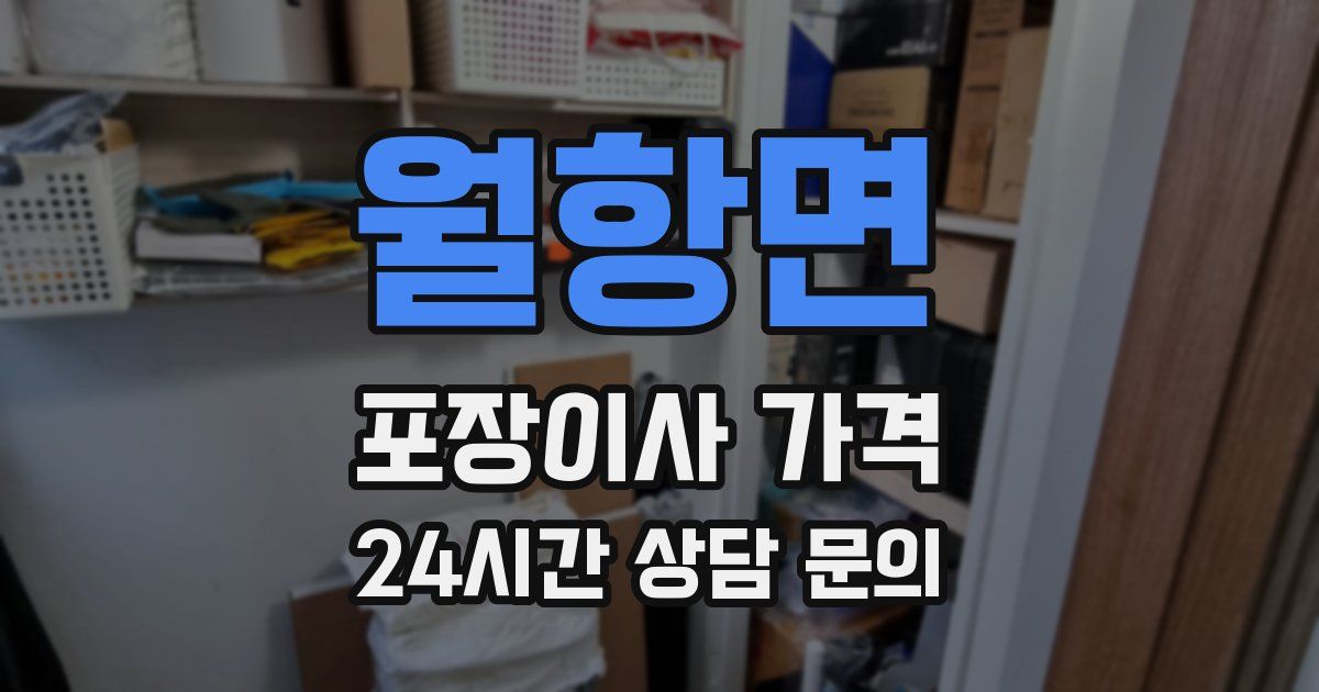 월항면 포장이사 가격