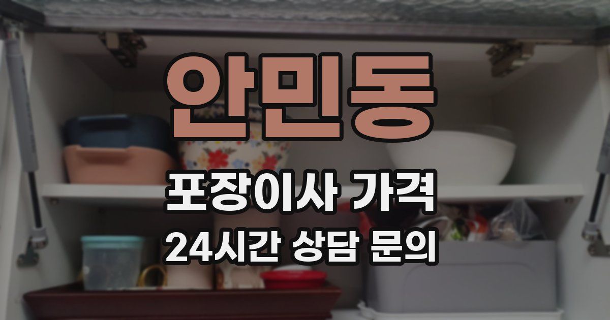 안민동 포장이사 가격