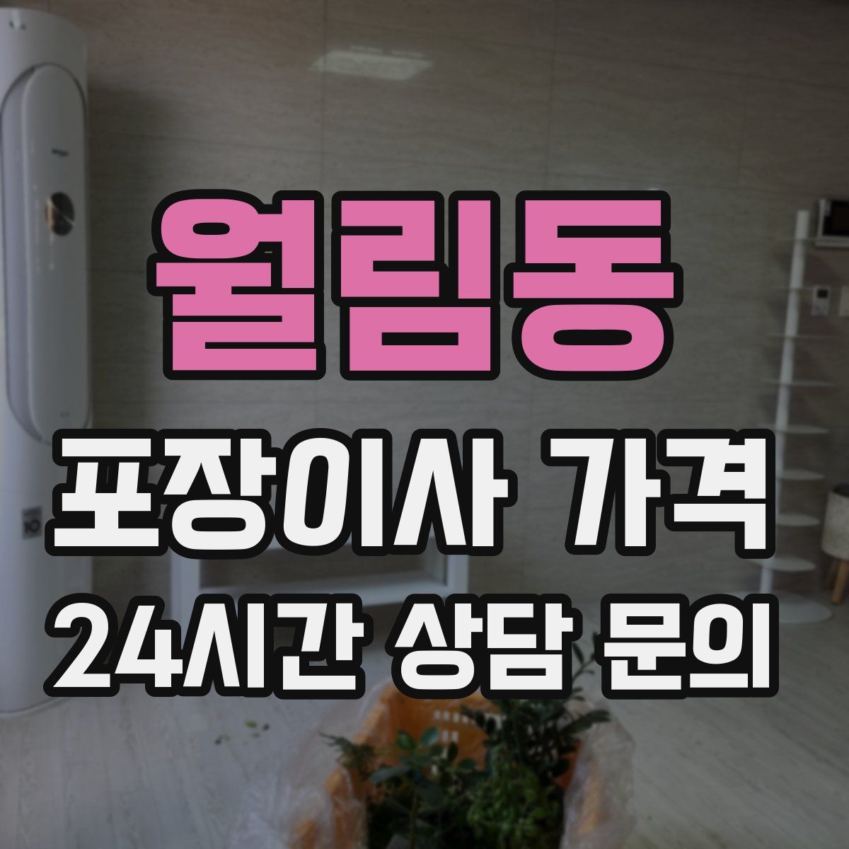 월림동 포장이사 가격