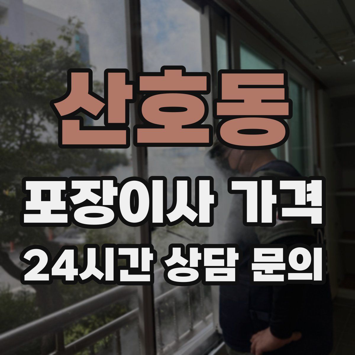 산호동 포장이사 가격