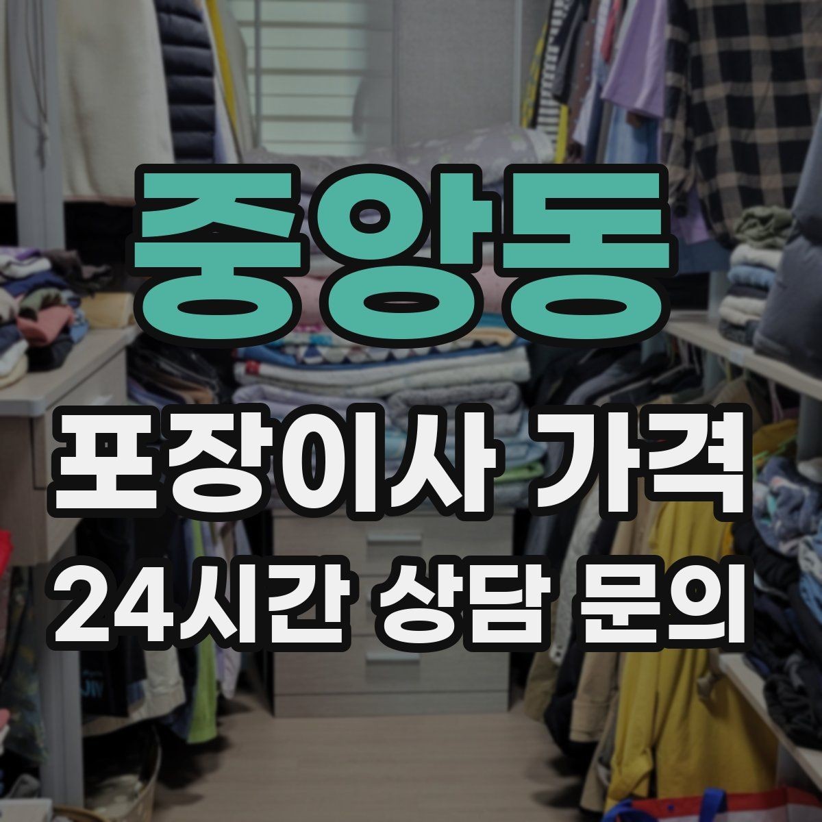 중앙동 포장이사 가격 반려동물 스트레스 줄이는 이사 당일 동선