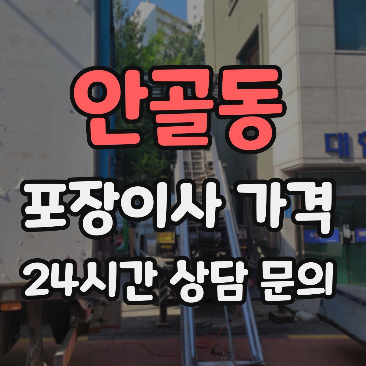 안골동 포장이사 가격