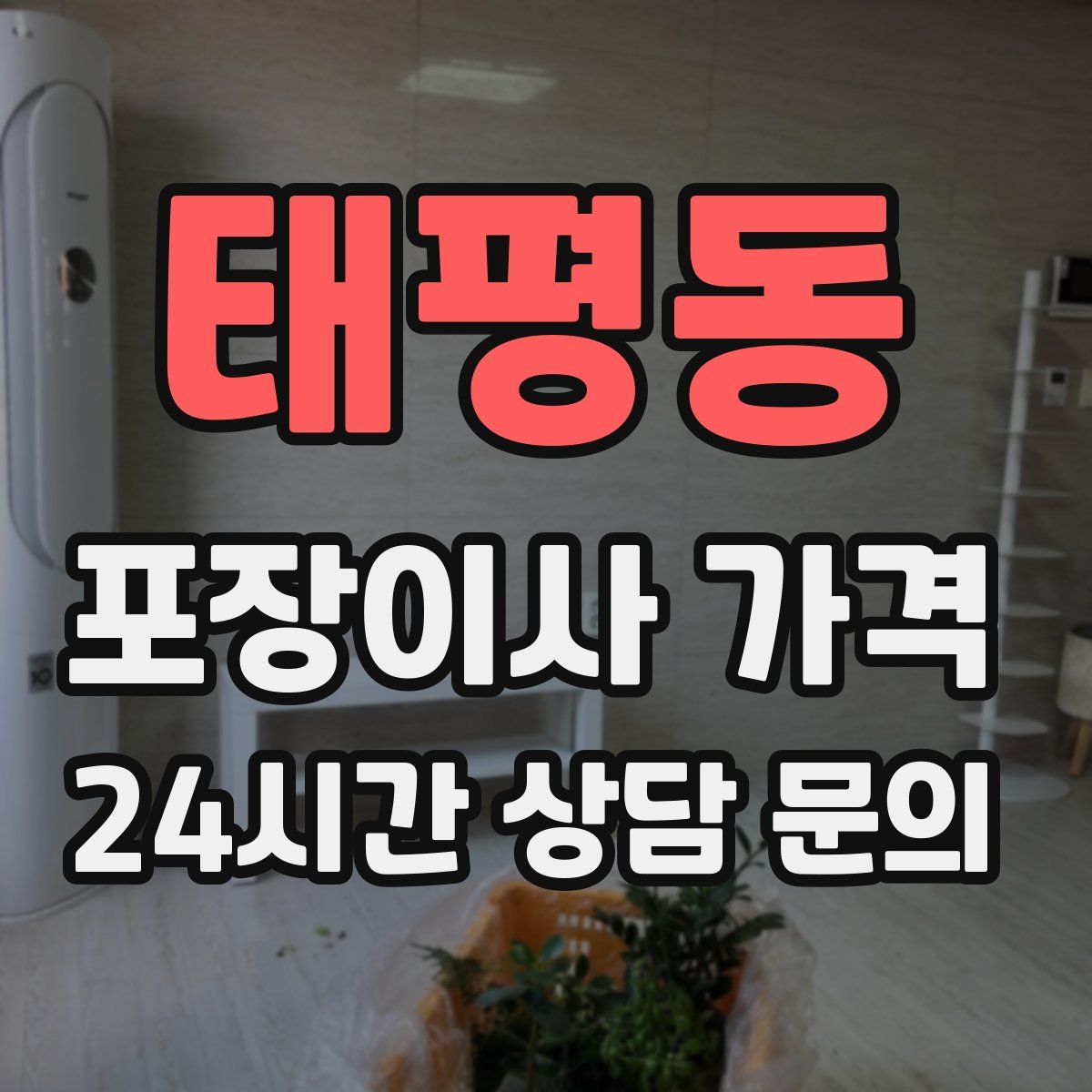 태평동 포장이사 가격