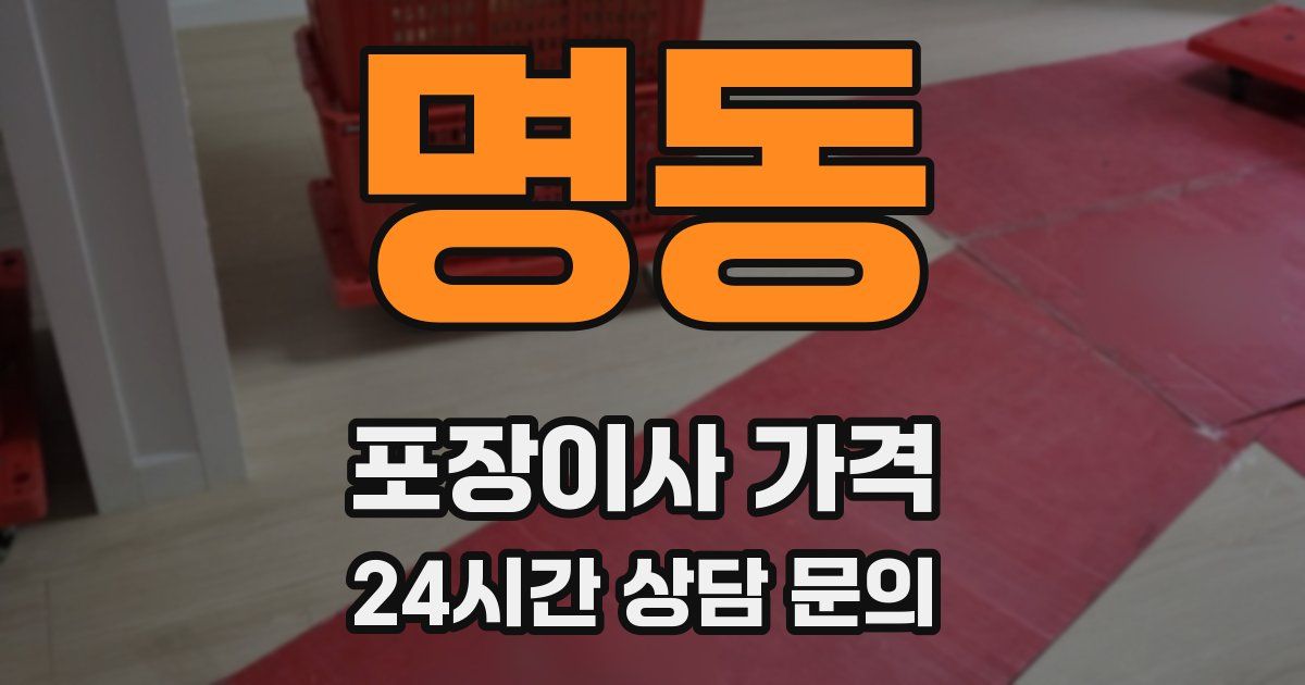 명동 포장이사 가격