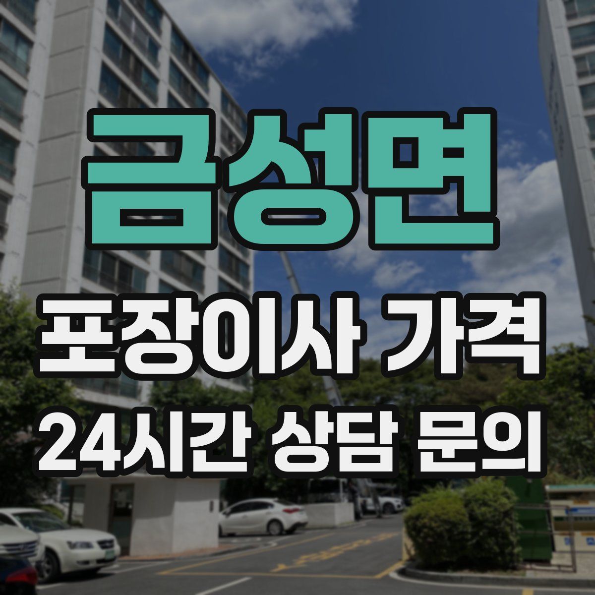 금성면 포장이사 가격