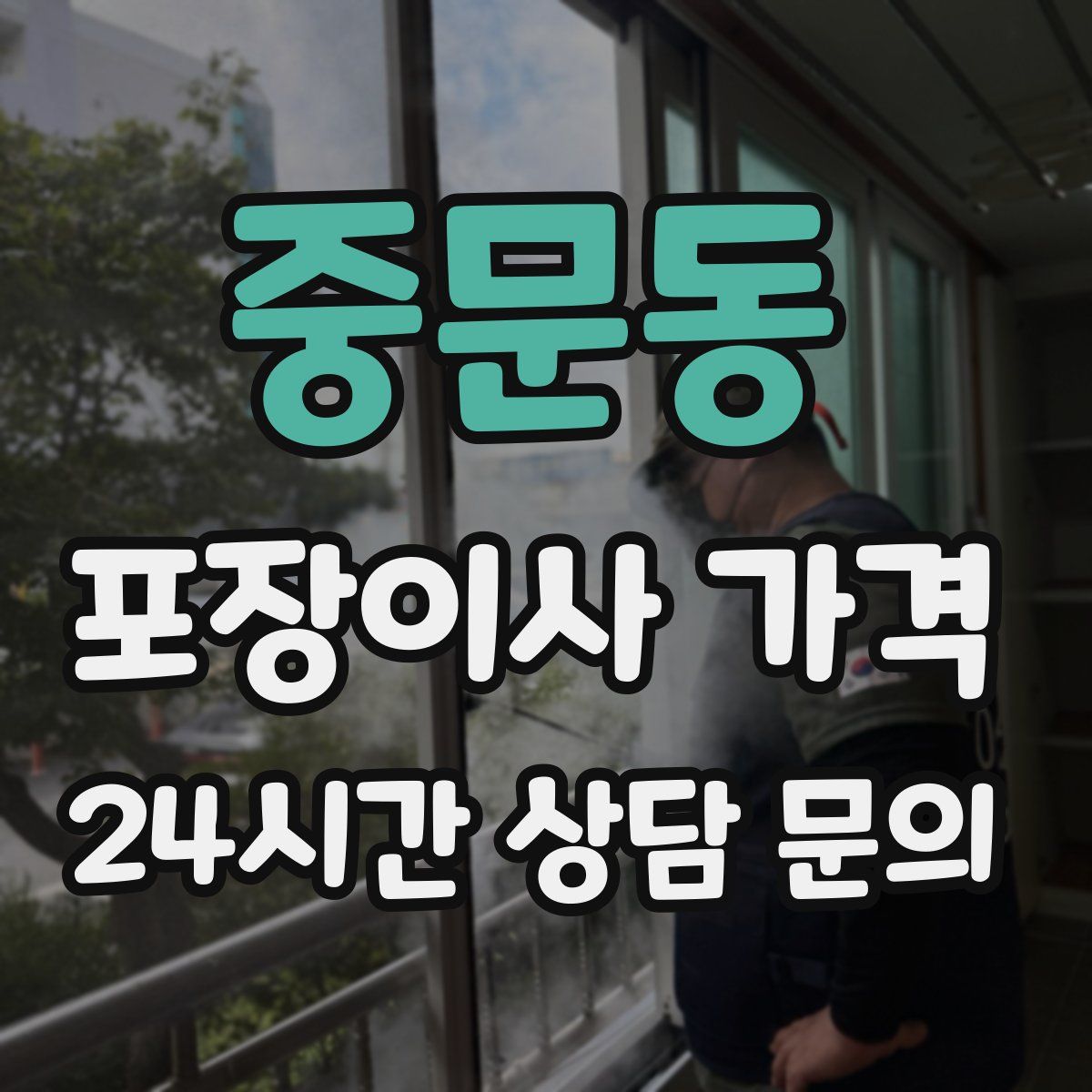 중문동 포장이사 가격