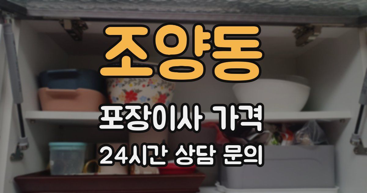 조양동 포장이사 가격