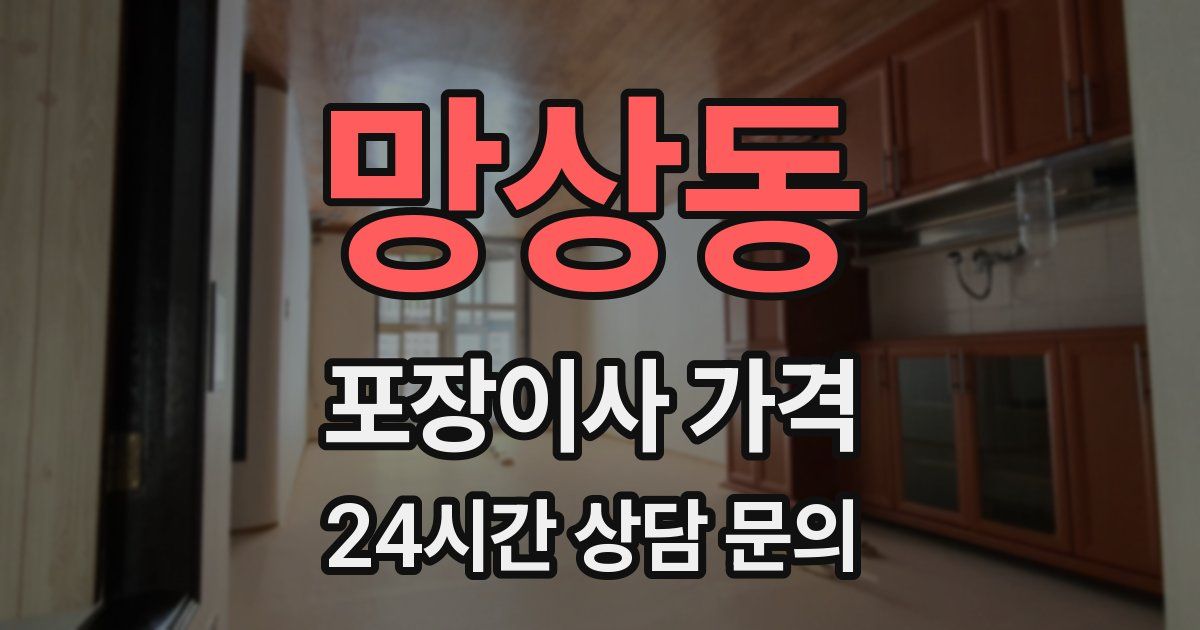 망상동 포장이사 가격