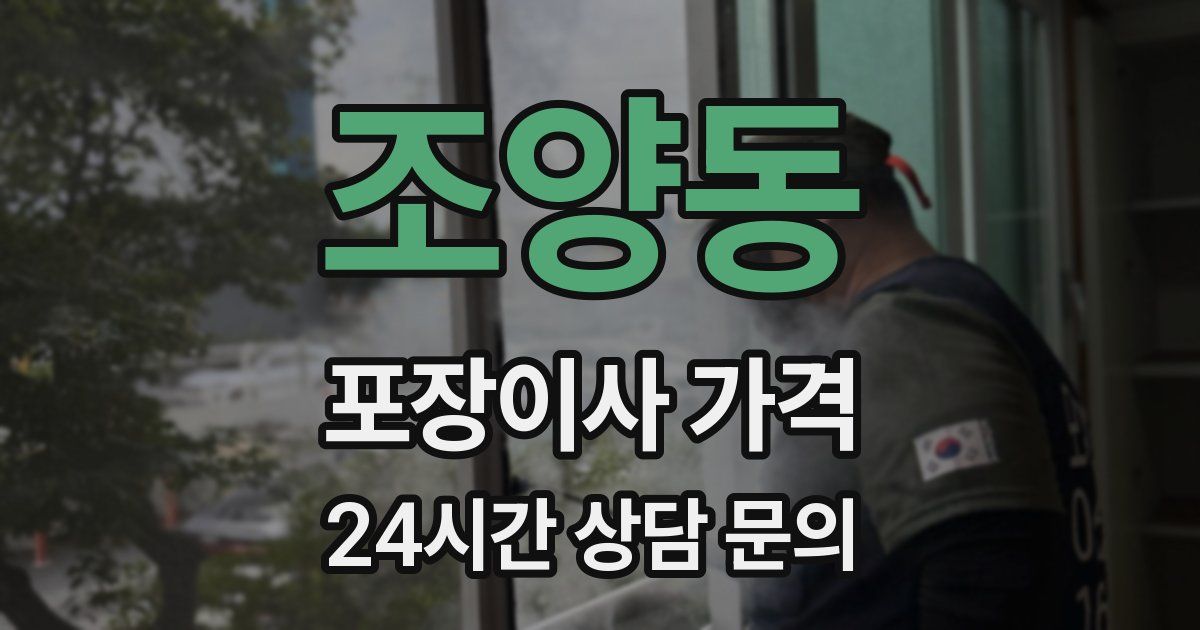 조양동 포장이사 가격