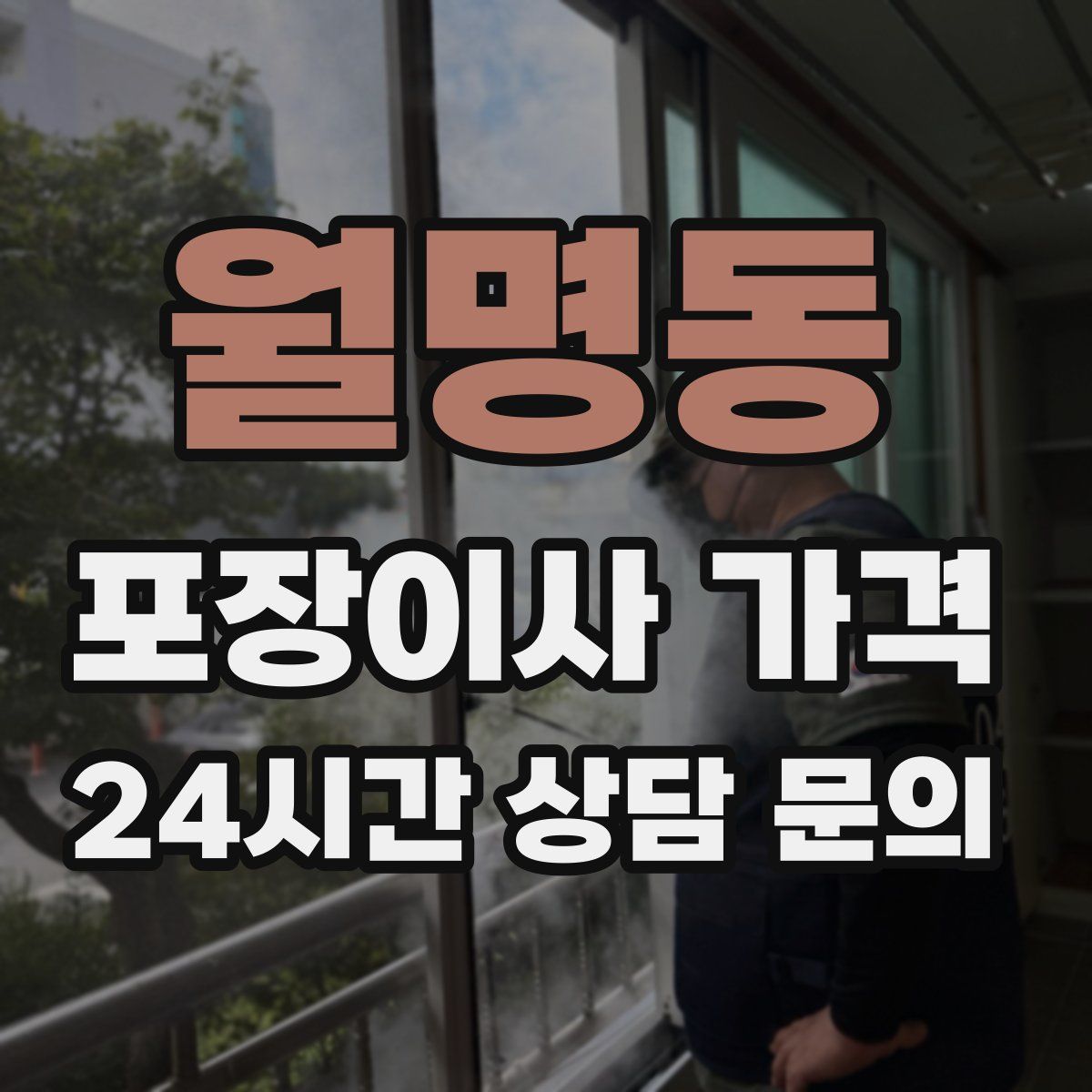 월명동 포장이사 가격