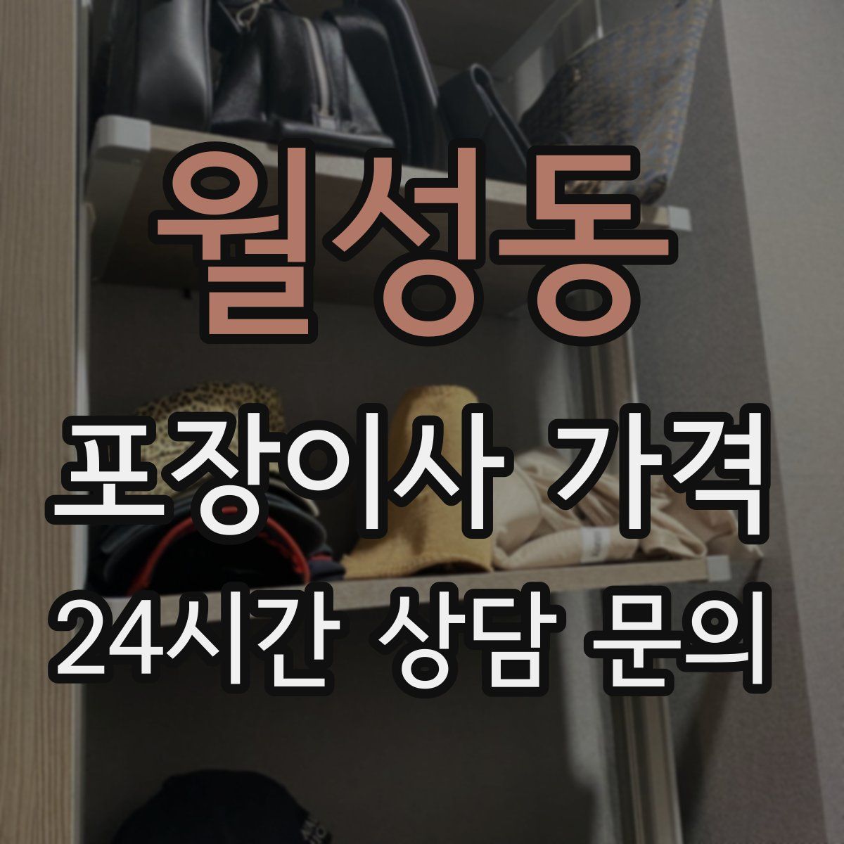 월성동 포장이사 가격
