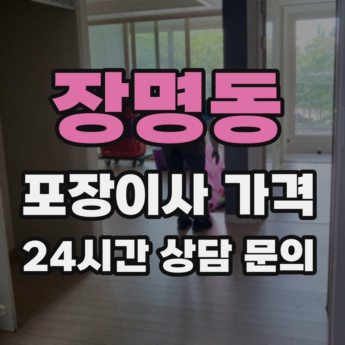 장명동 포장이사 가격