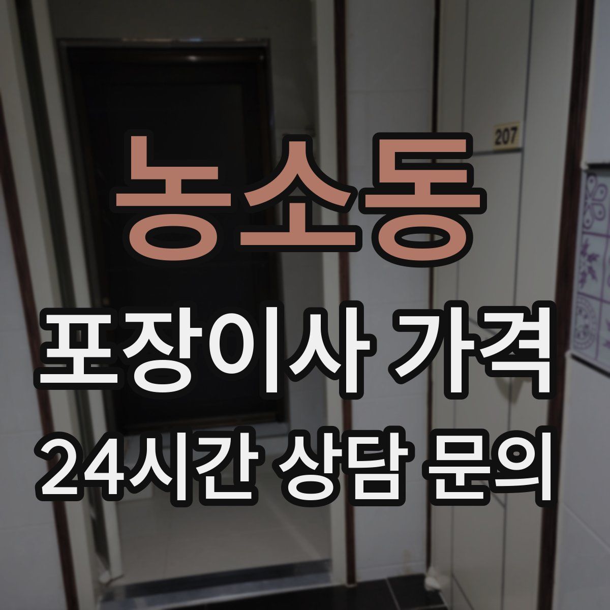 농소동 포장이사 가격