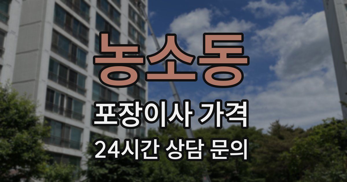 농소동 포장이사 가격