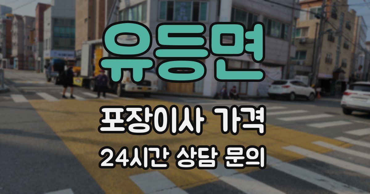 유등면 포장이사 가격