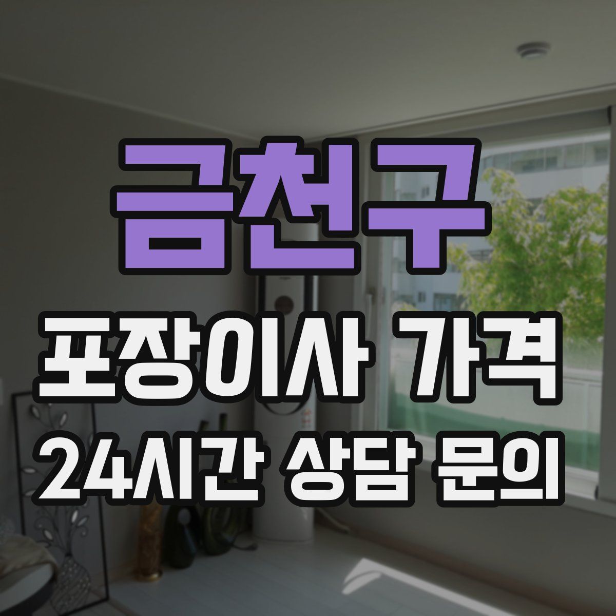 금천구 포장이사 가격