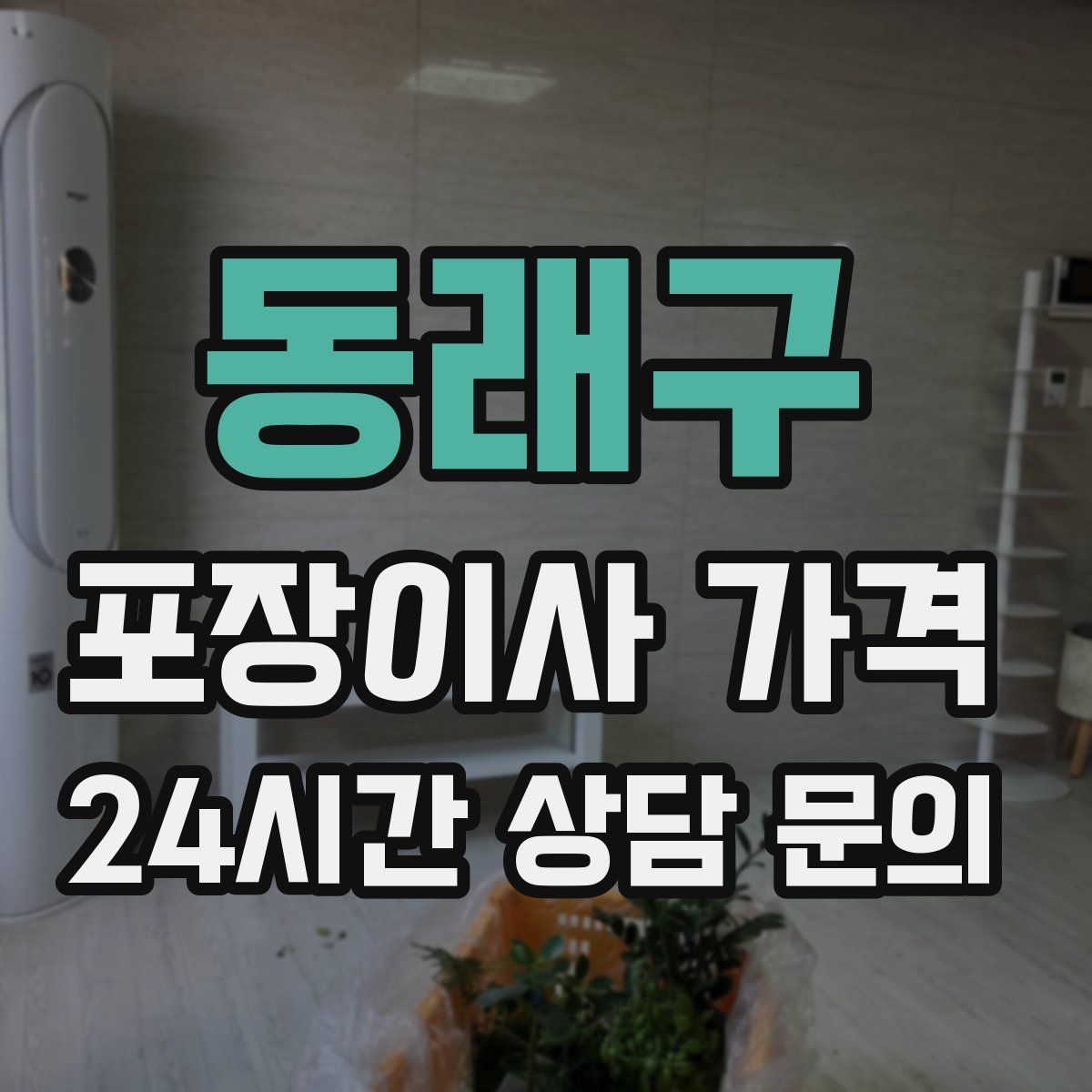 동래구 포장이사 가격