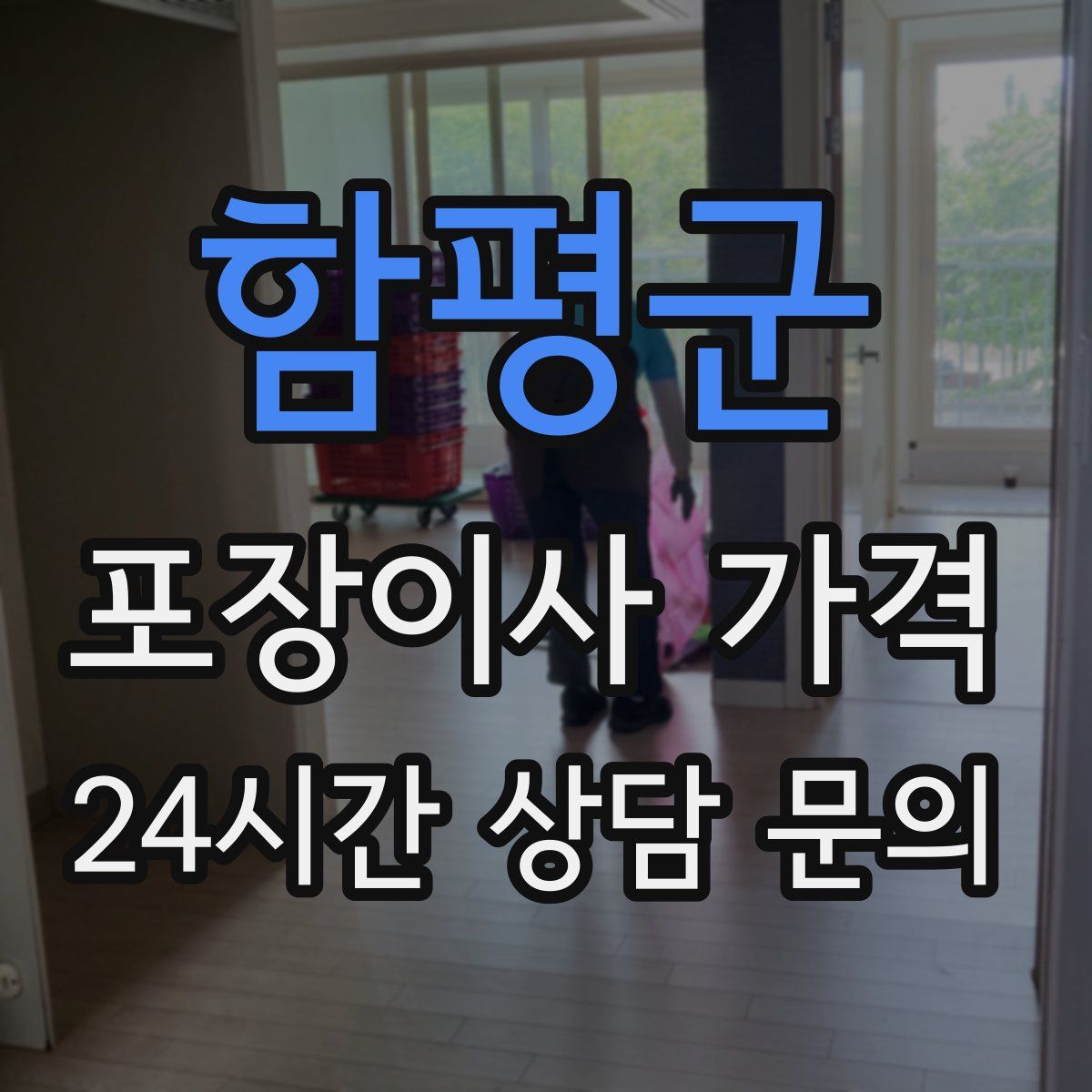 함평군 포장이사 가격