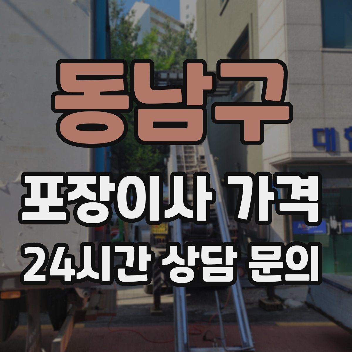 동남구 포장이사 가격 당일 바로 필요한 박스는 어떻게 관리할까