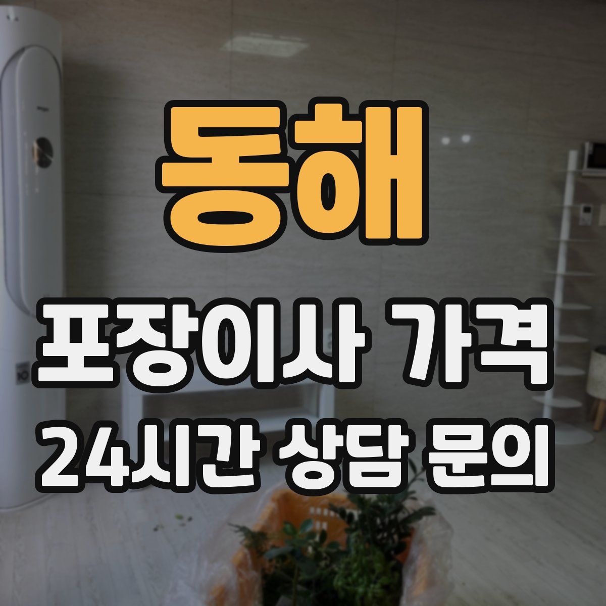 동해 포장이사 가격