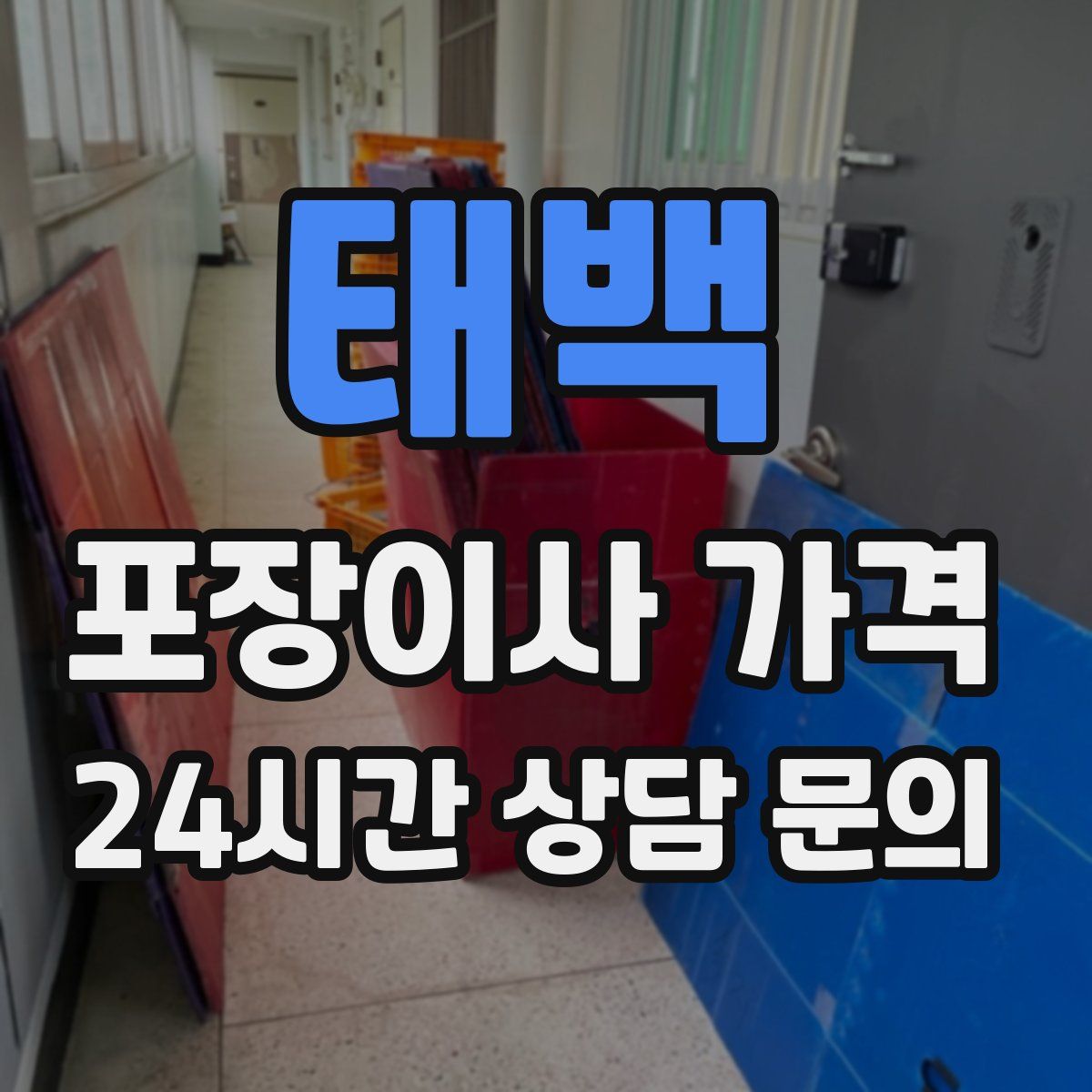 태백 포장이사 가격