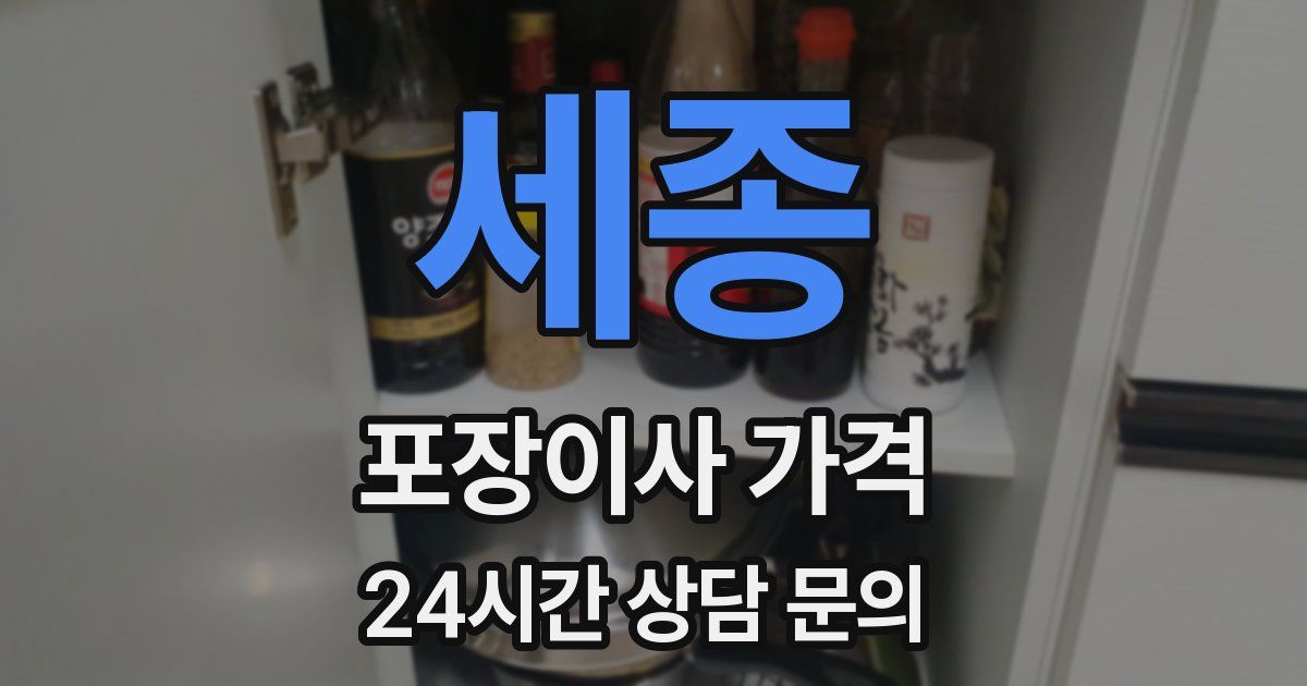 세종 포장이사 가격