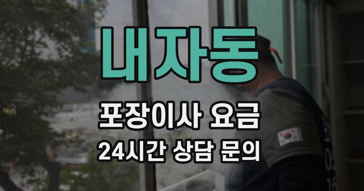 내자동 포장이사 요금