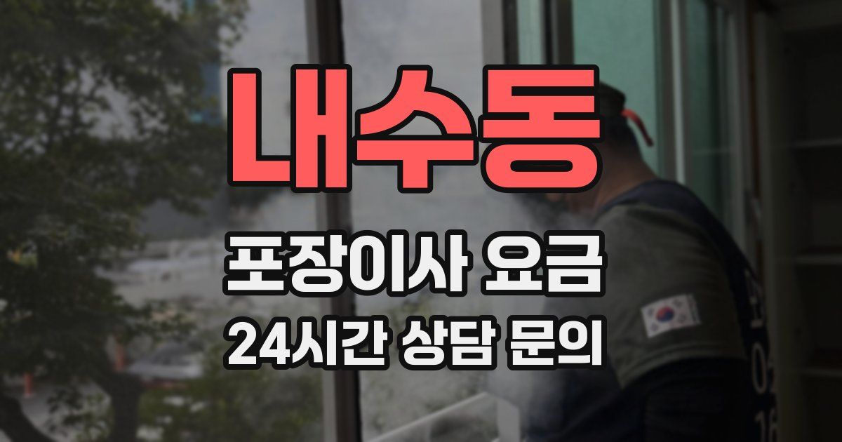 내수동 포장이사 요금