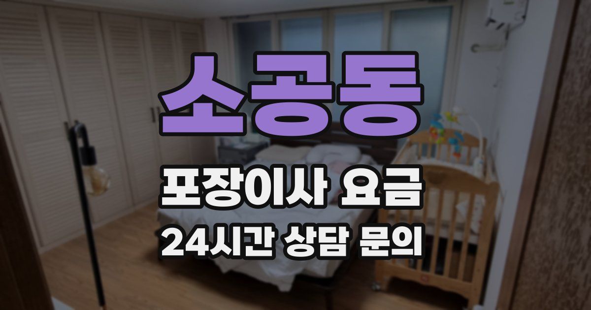 소공동 포장이사 요금