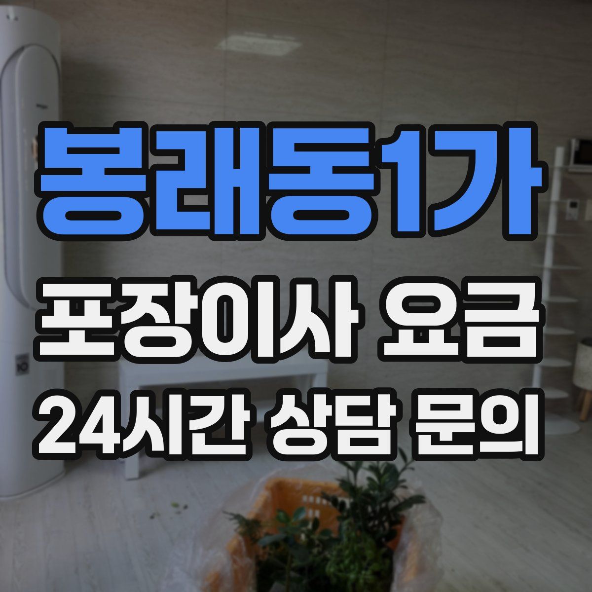 봉래동1가 포장이사 요금