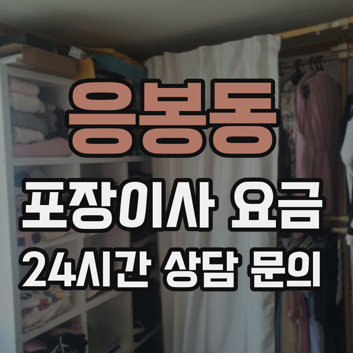 응봉동 포장이사 요금