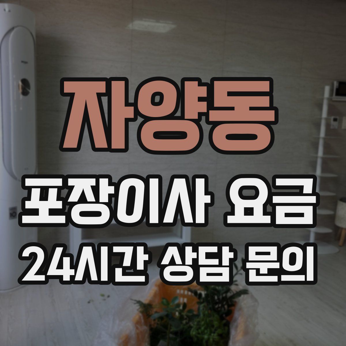 자양동 포장이사 요금