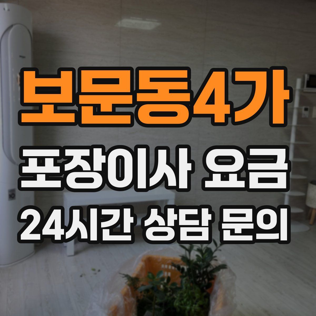 보문동4가 포장이사 요금
