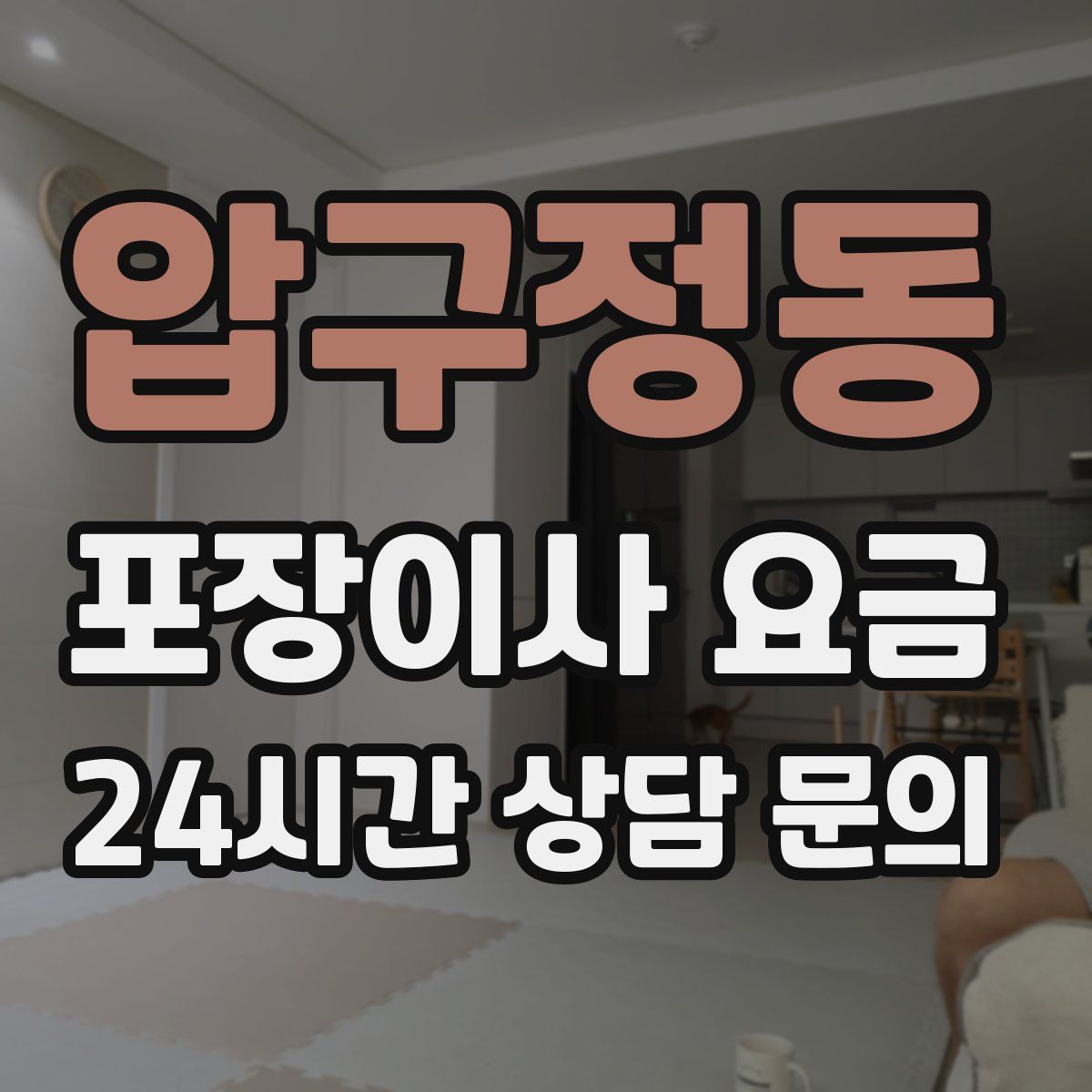 압구정동 포장이사 요금