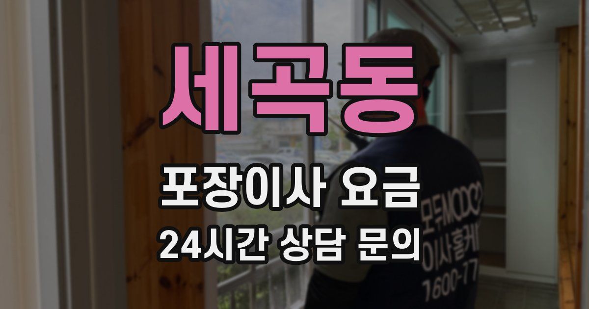 세곡동 포장이사 요금
