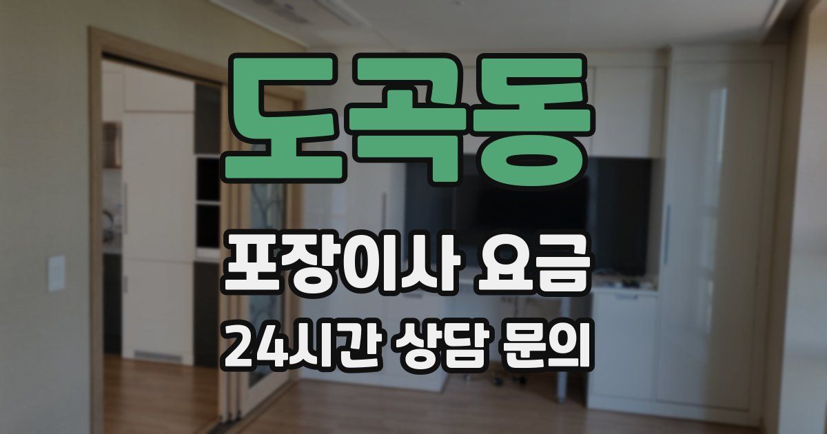 도곡동 포장이사 요금