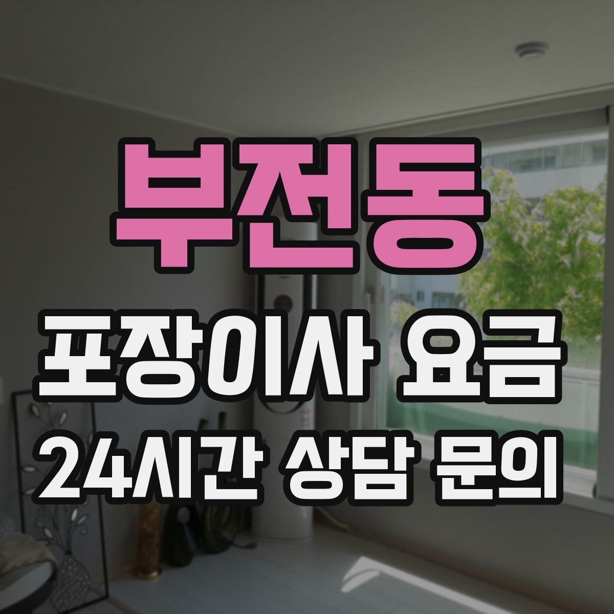 부전동 포장이사 요금