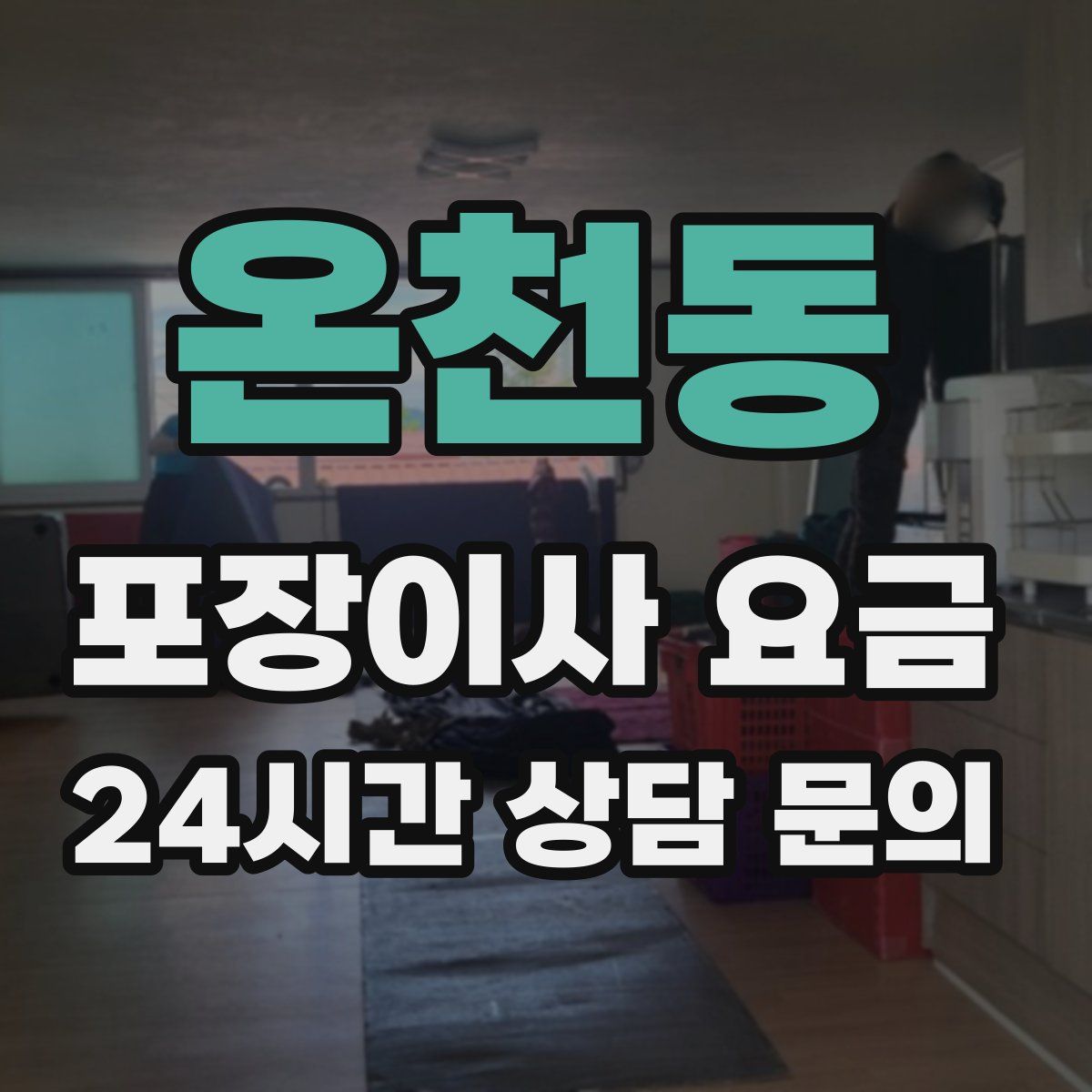 온천동 포장이사 요금