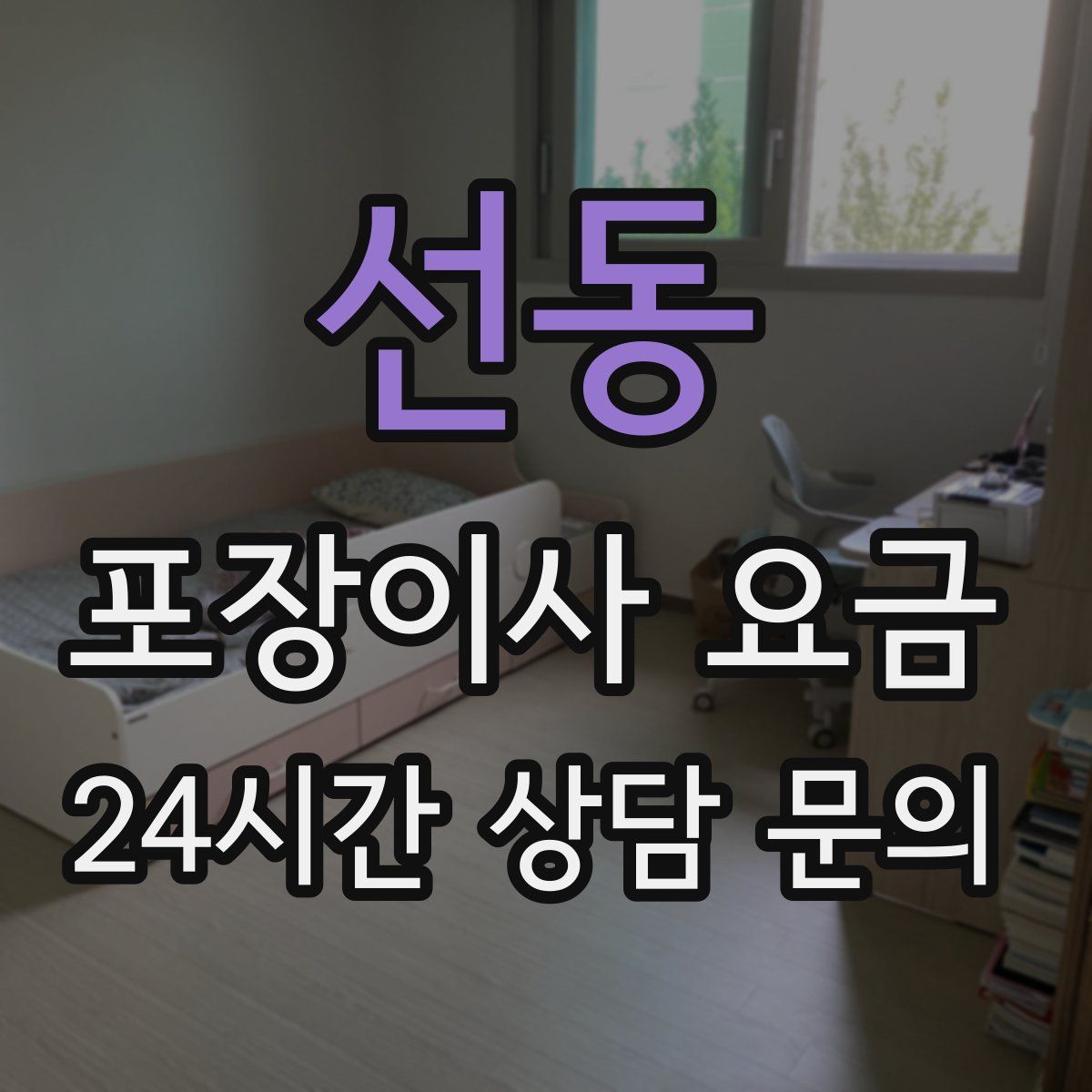 선동 포장이사 요금
